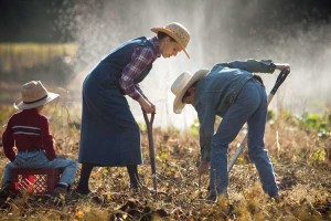 Digging-in-the-Garden jpg