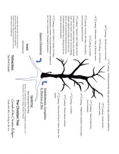 The Christian Tree Final-1.jpg