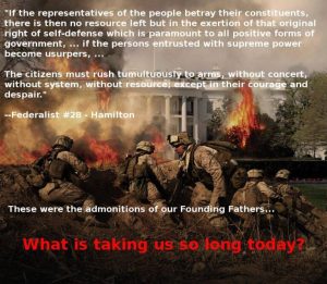 federalist-28